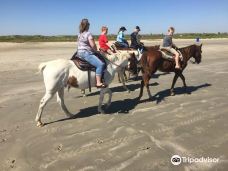 Galveston Island Horse and Pony Rides-加尔维斯顿县