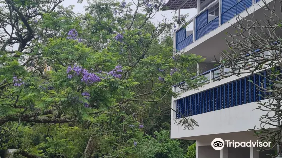 Minas de Chico Rei