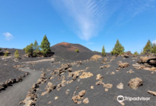 Volcan Chinyero景点图片