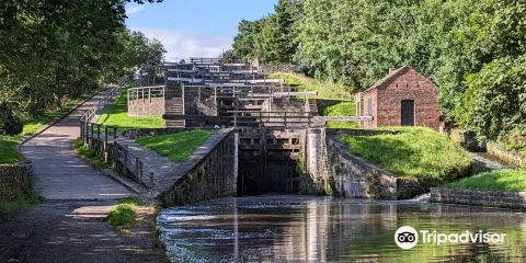 Bingley Five Rise Locks