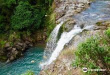 Tawhai Falls (Gollums Pool)景点图片