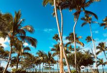 Playa Bonita景点图片