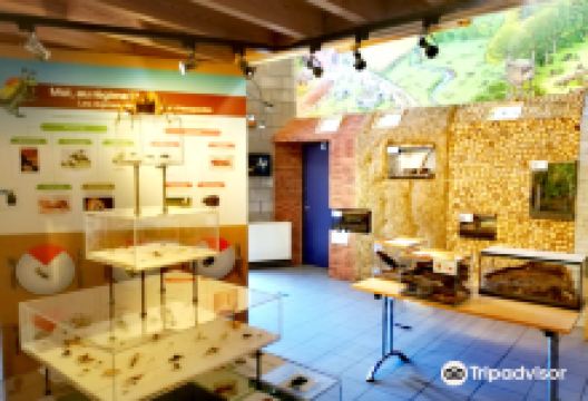 Insectarium Hexapoda景点图片