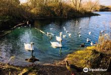 Eastbrookend Country Park景点图片