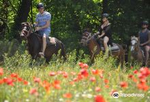 Pinar Horse Safari景点图片