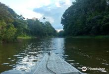 Lago Tarapoto景点图片