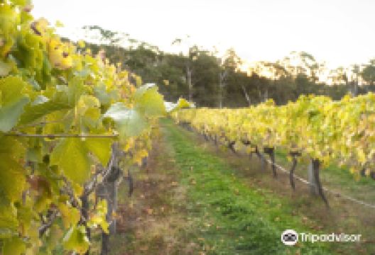Harcourt Valley Vineyards景点图片