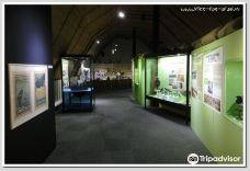 布洛瓦自然历史博物馆-布卢瓦