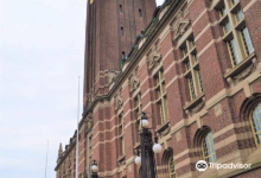 Norrkoping's City Hall景点图片