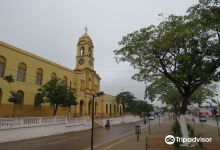 Iglesia de Concepcion景点图片