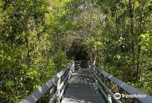Fern Forest Nature Center景点图片