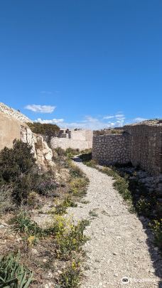 弗留利群岛-马赛