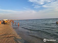 Spiaggia di Tonnarella-阿塔尔德