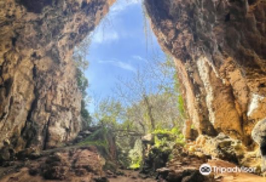 Cova des Coloms景点图片