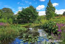 Priory Maze and Gardens景点图片