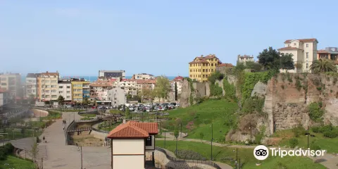 Ortahisar Sosyal Hizmet Merkezi
