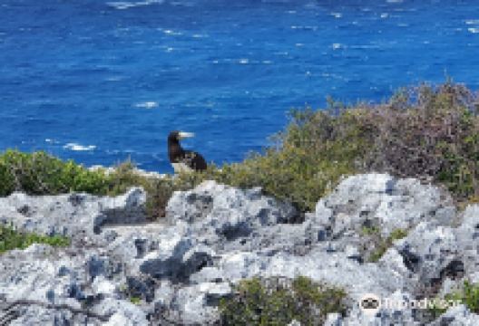 The Bluff景点图片