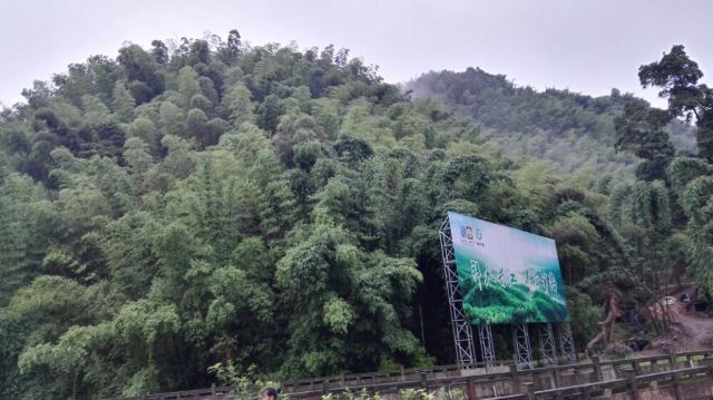 Shunan Zhuhai (“South Sichuan Bamboo Sea”) National Park