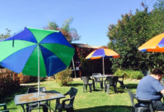 Tutti Fruitti美食图片