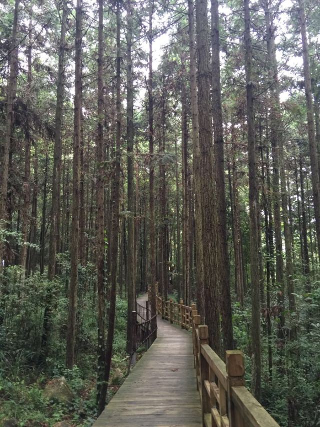 Gupo Mountain