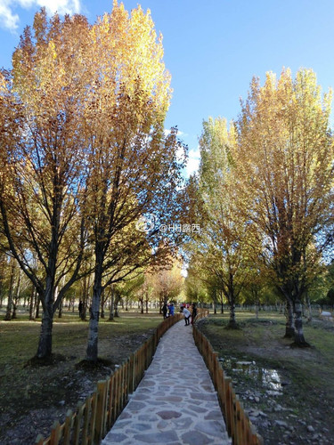  川藏  接受了一场心灵的洗礼