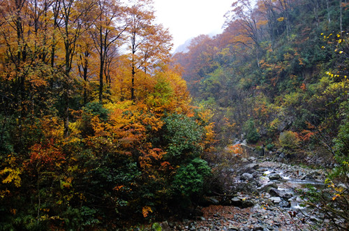 牟阳故城