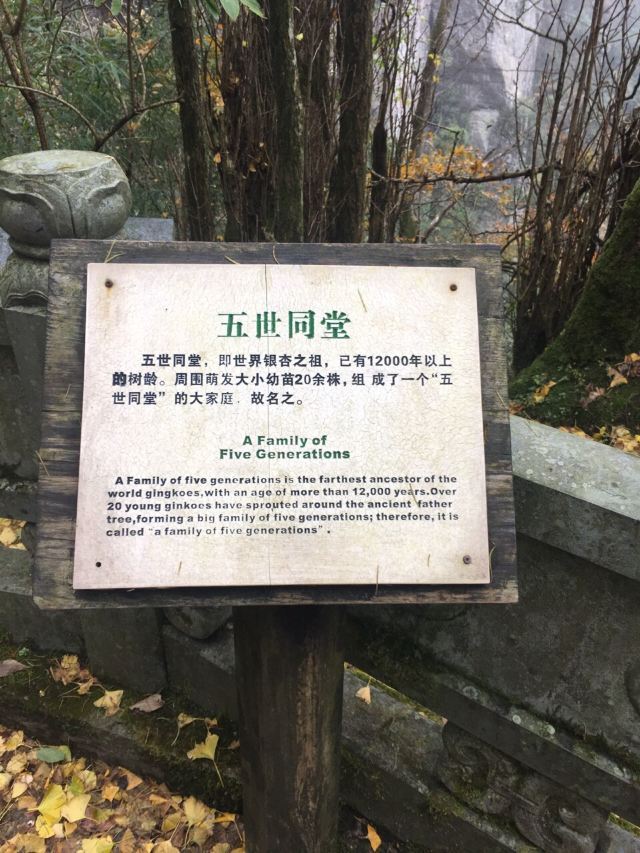 天目山景區