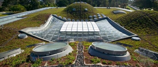 California Academy of Sciences