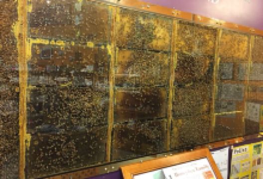 Honey Cafe美食图片