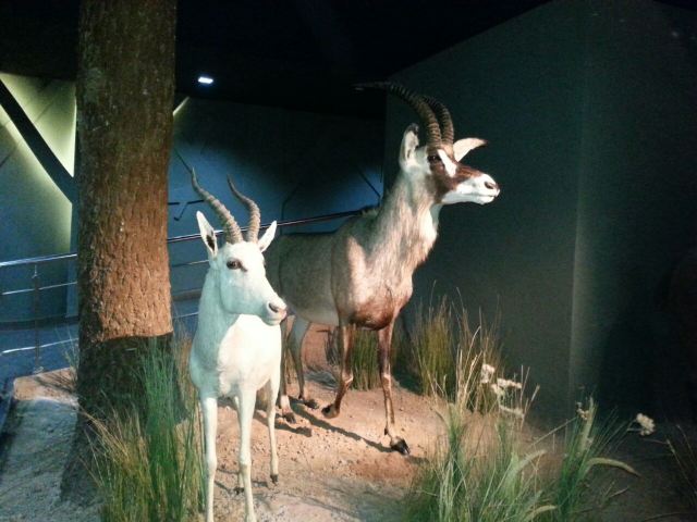 Tianjin Natural History Museum