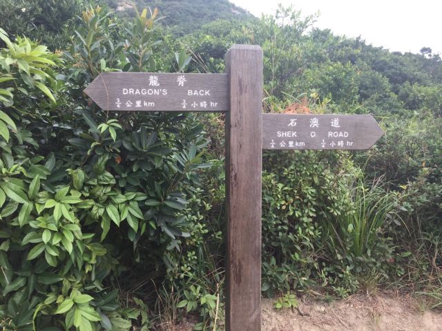 Shek O