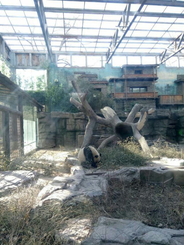 Beijing Zoo