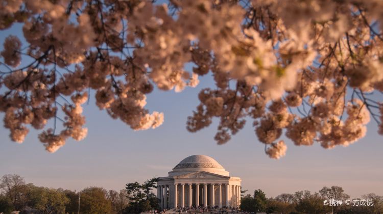 2-Day Washington D.C. Cherry Blossom Tour from NY·Thomas Jefferson Memorial, Washington D.C. Temple and Old Town Alexandria