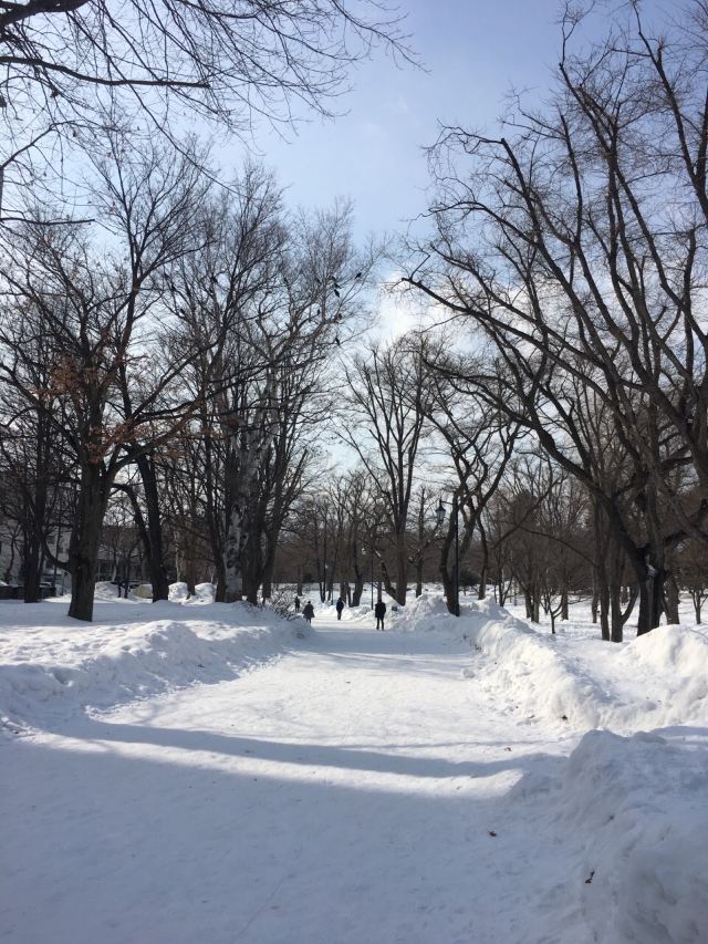 北海道大學