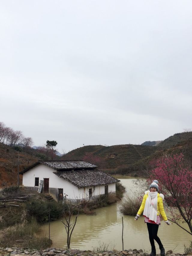 신펑잉화위