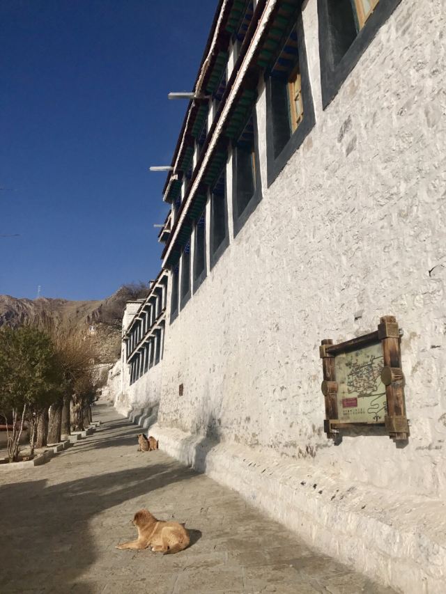 드레풍 사원