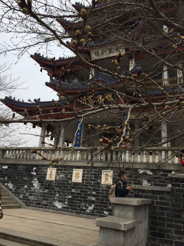 원두저(위안터우주)