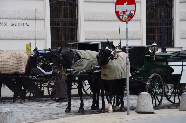 Hofburg Palace