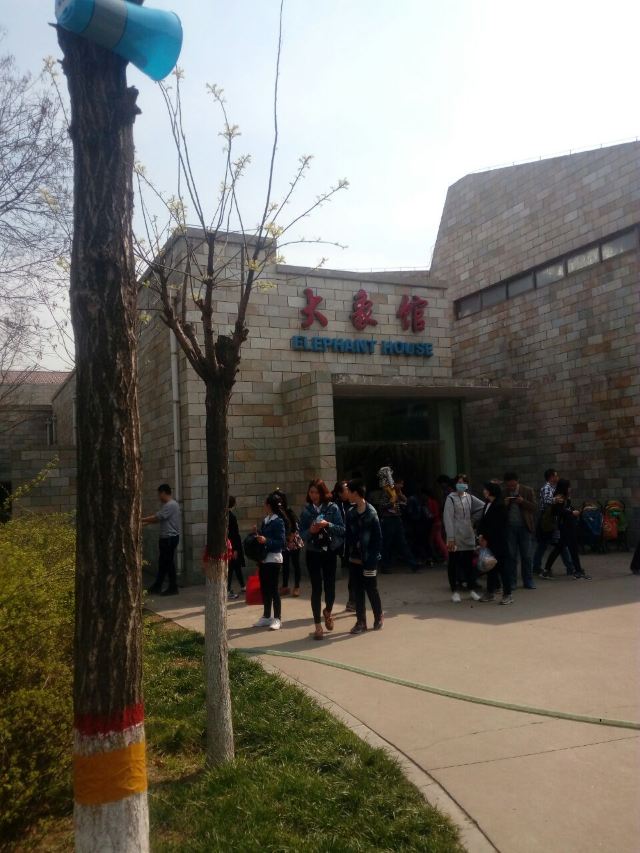 스자좡 도심 동물원