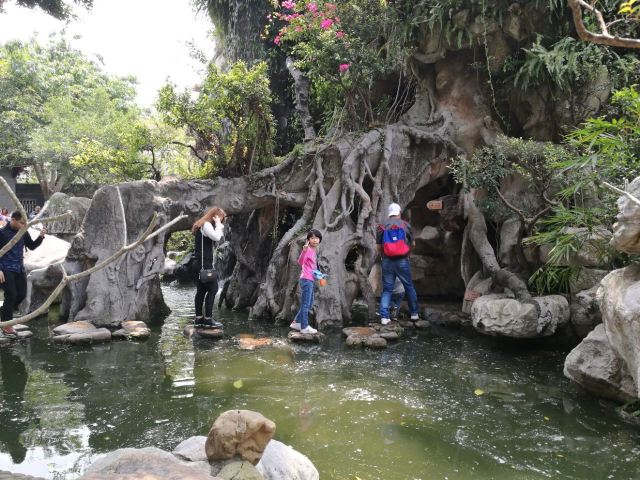 Qinghui Garden