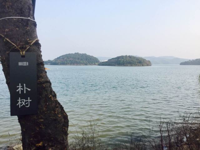 Tianmu Lake Scenic Area