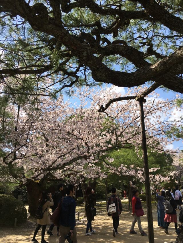 Heian Shrine