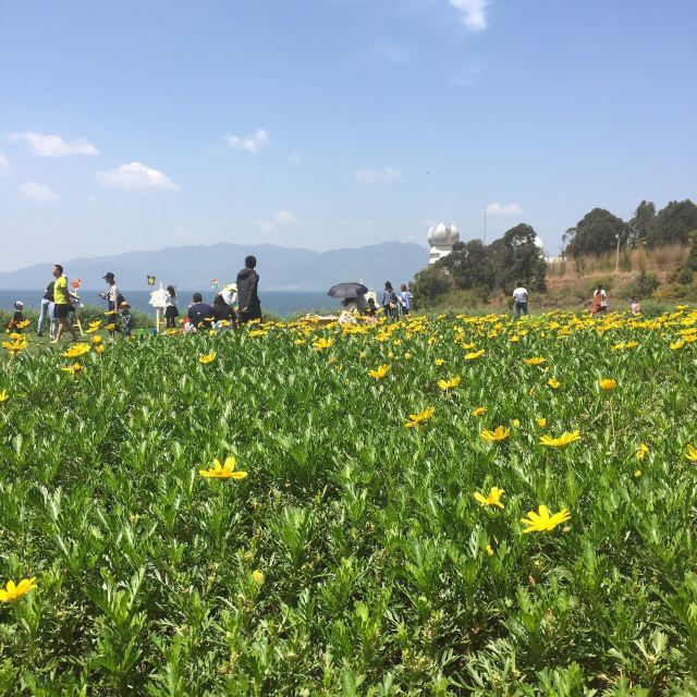 Fuxian Lake Scenic Area