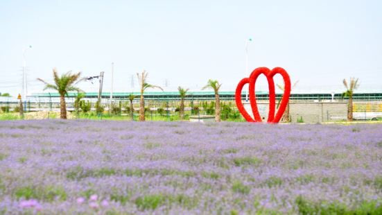 Changzhou Lavender Manor
