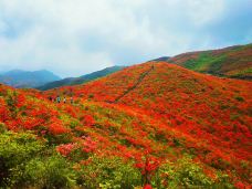 大围山国家森林公园-浏阳-YoYo_1Y6J0U5F