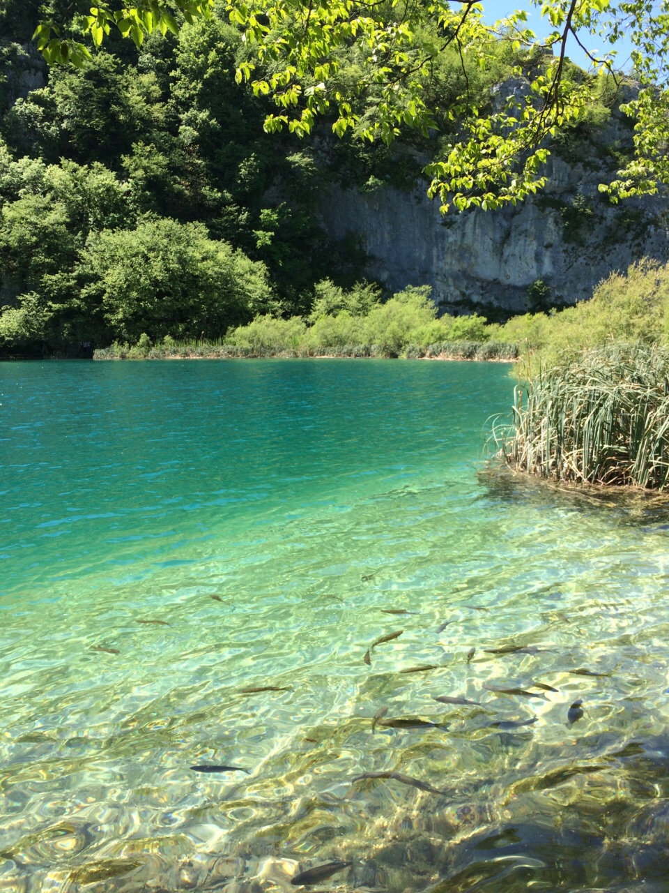克罗地亚十六湖国家公园--欧洲“九寨沟”