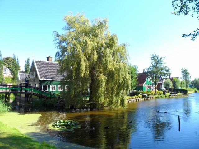Zaanse Schans