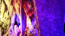 鱼泉山风景区-万源-YoYo_9X5A8M5M