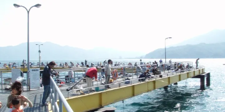 遊艇城海釣公園