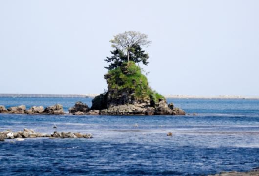 日本富山雨晴海岸+富山市玻璃美术馆+呉羽山公园一日游【中文司导，一单一团，行程可调。】